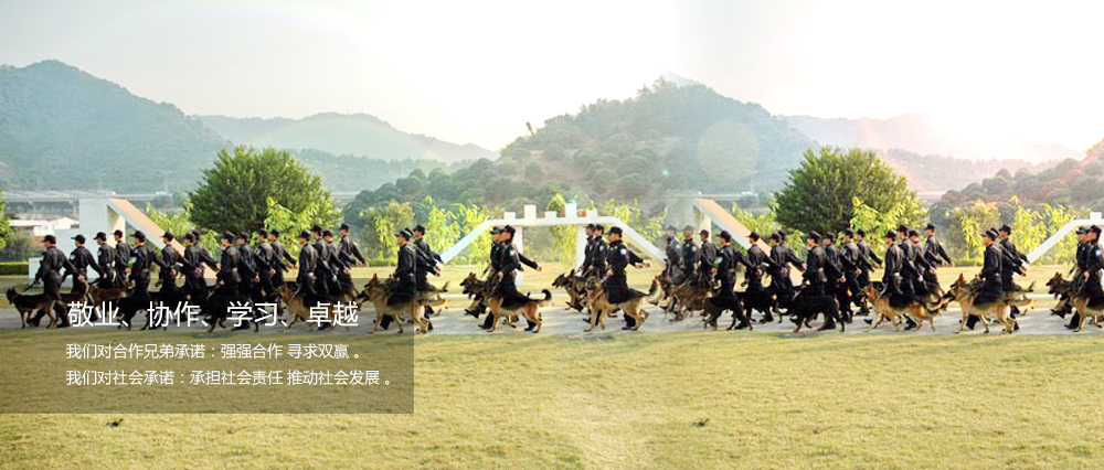 敬业、协作、学习、卓越